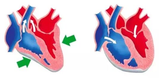 Blutforde normalizes the function of the heart and blood vessels